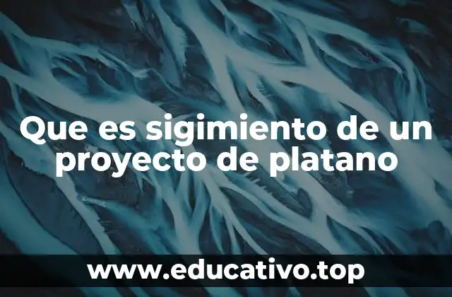 Que es sigimiento de un proyecto de platano