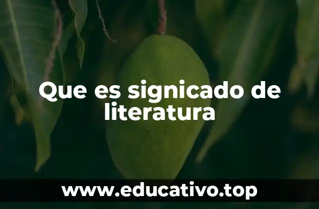 Que es signicado de literatura