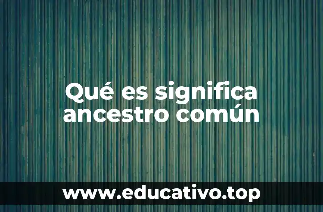 Qué es significa ancestro común
