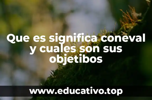 Que es significa coneval y cuales son sus objetibos