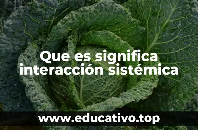 La base conceptual detrás de las interacciones sistémicas