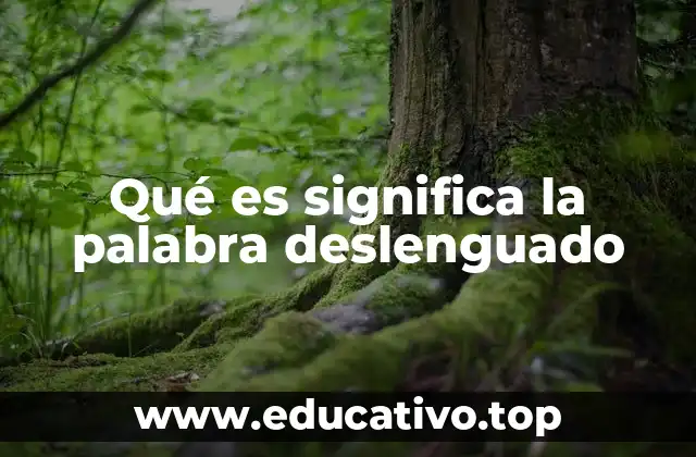 Qué es significa la palabra deslenguado