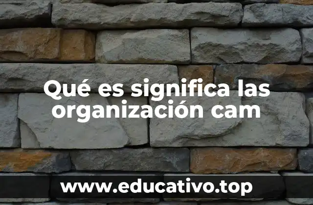 Qué es significa las organización cam