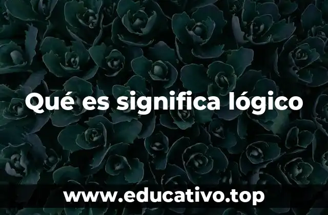 Qué es significa lógico