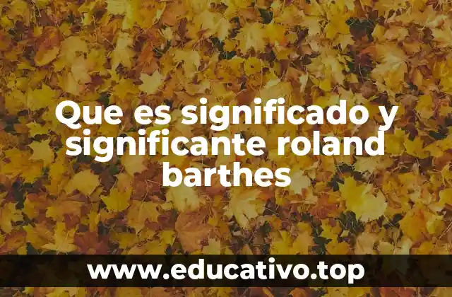 Que es significado y significante roland barthes