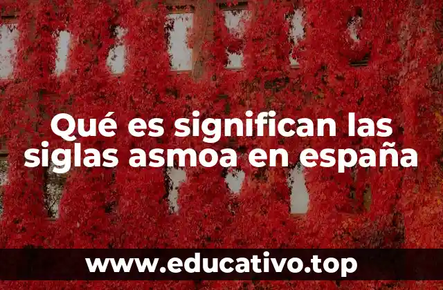 Qué es significan las siglas asmoa en españa