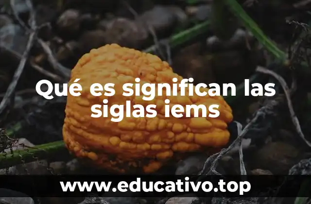 Qué es significan las siglas iems