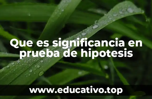 Que es significancia en prueba de hipotesis