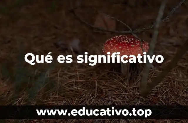 Qué es significativo