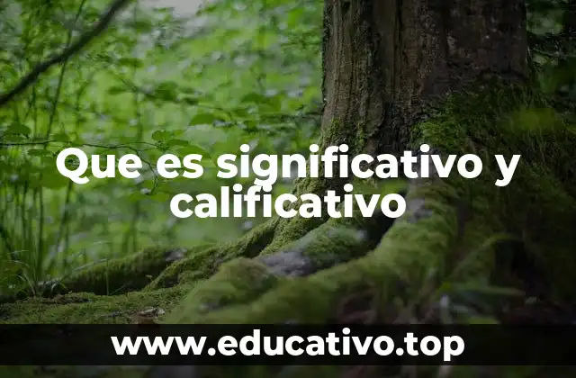 Que es significativo y calificativo