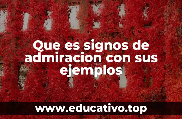 El papel de los signos de admiración en la comunicación escrita