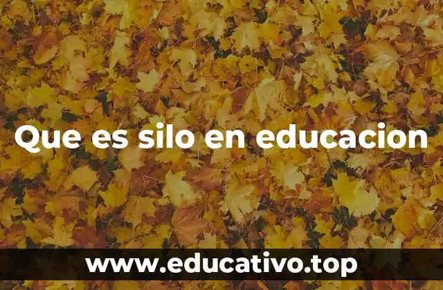 Que es silo en educacion