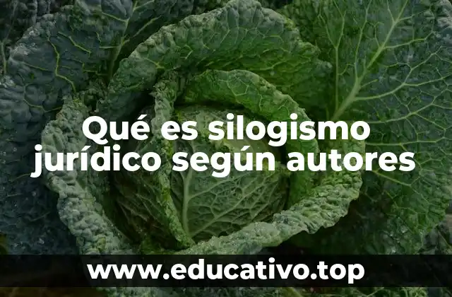 Qué es silogismo jurídico según autores