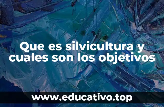 El papel de la silvicultura en la sostenibilidad ambiental