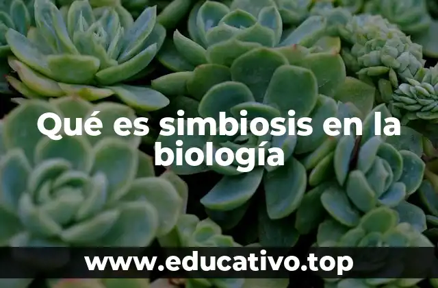 Qué es simbiosis en la biología
