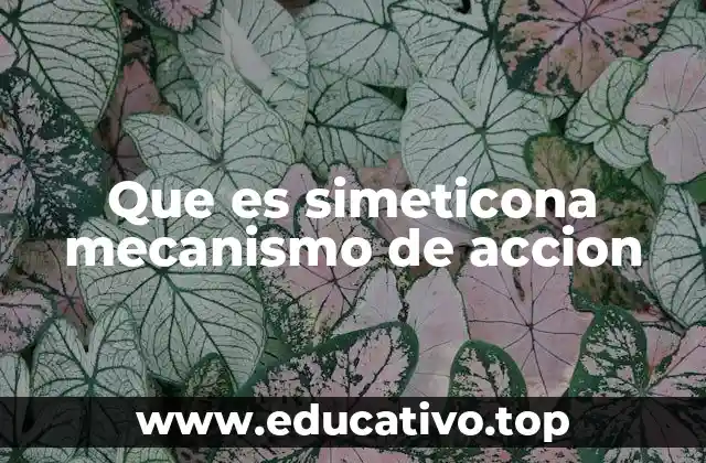 Que es simeticona mecanismo de accion