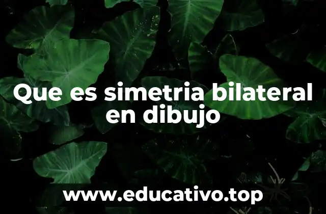 Que es simetria bilateral en dibujo