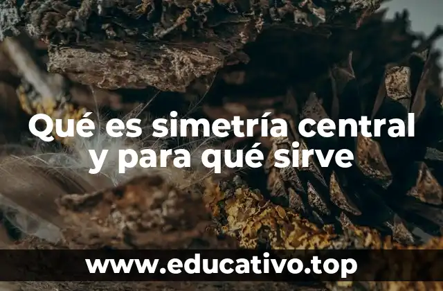 Qué es simetría central y para qué sirve