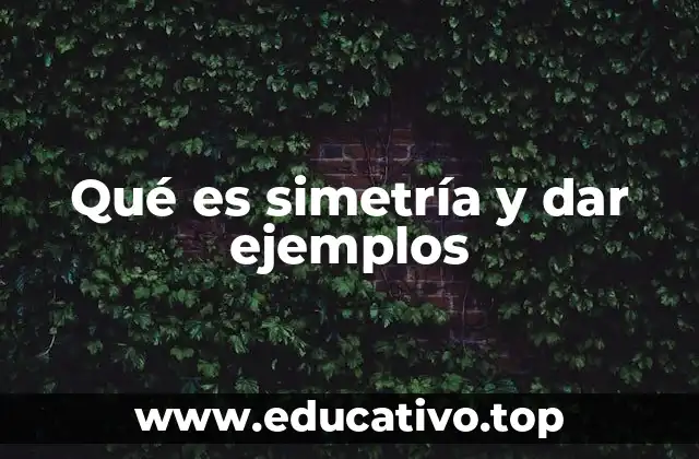 Qué es simetría y dar ejemplos