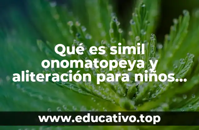 Qué es simil onomatopeya y aliteración para niños Yahoo