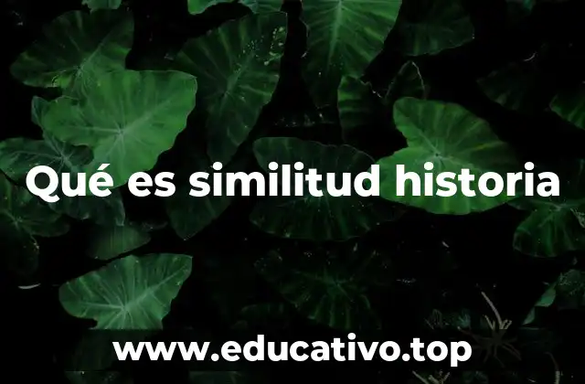Qué es similitud historia