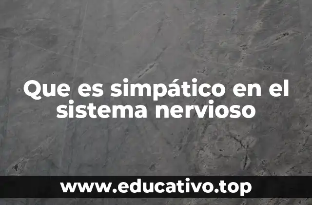 Que es simpático en el sistema nervioso