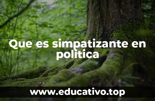 Que es simpatizante en politica