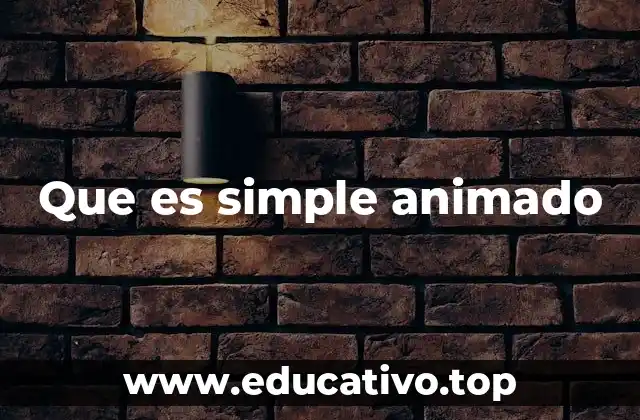 Que es simple animado