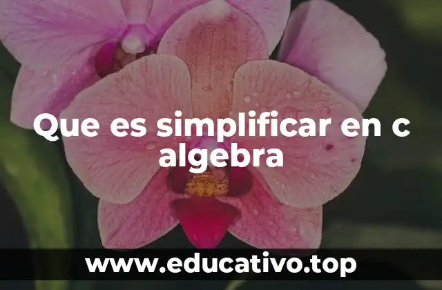 Que es simplificar en c algebra