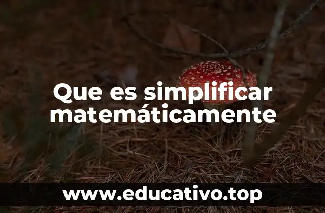 Que es simplificar matemáticamente