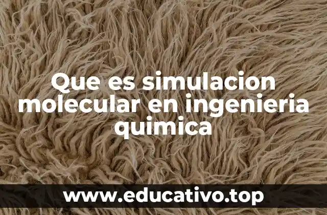 Que es simulacion molecular en ingenieria quimica