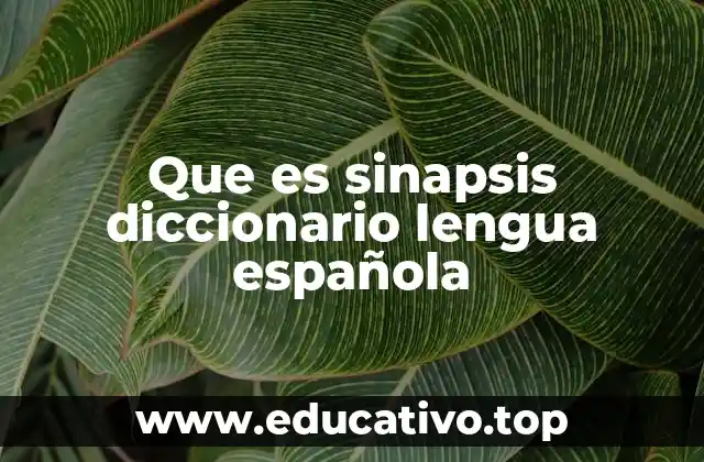 Que es sinapsis diccionario lengua española