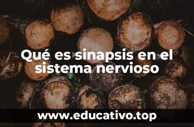 Qué es sinapsis en el sistema nervioso