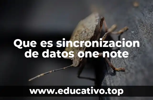 Que es sincronizacion de datos one note