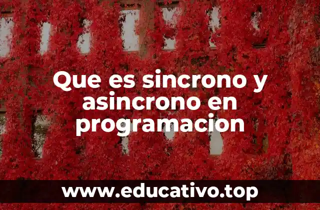 Que es sincrono y asincrono en programacion