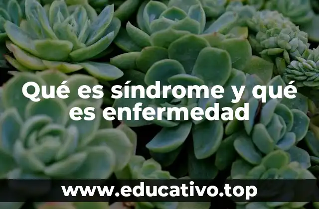 Qué es síndrome y qué es enfermedad