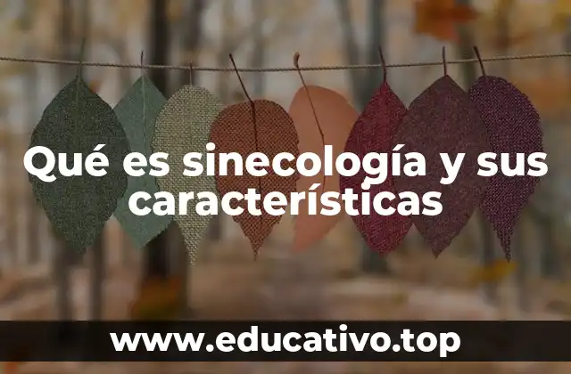 Qué es sinecología y sus características