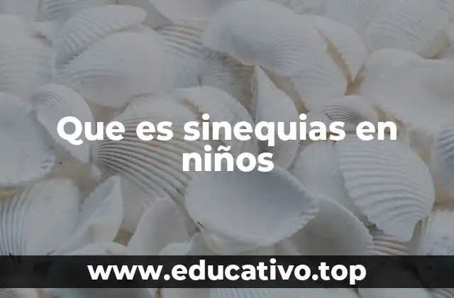 Que es sinequias en niños