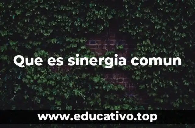 La importancia de la colaboración en contextos modernos