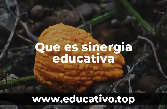 Que es sinergia educativa