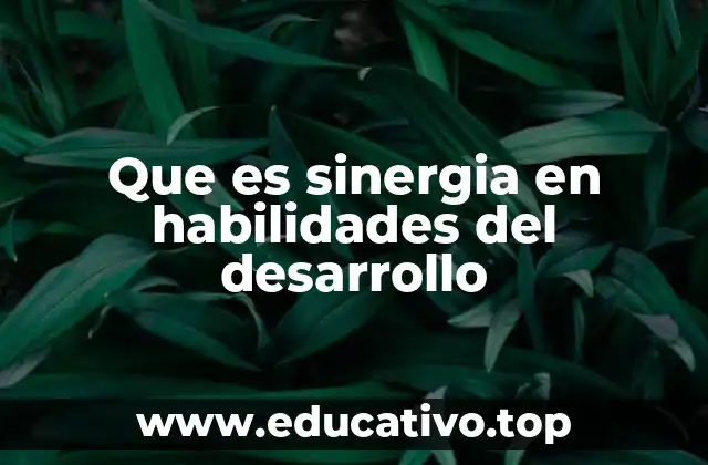Que es sinergia en habilidades del desarrollo