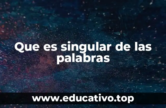 La importancia del singular en la estructura de las oraciones