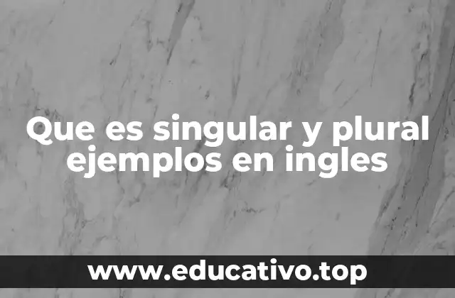 Que es singular y plural ejemplos en ingles