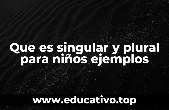 Que es singular y plural para niños ejemplos