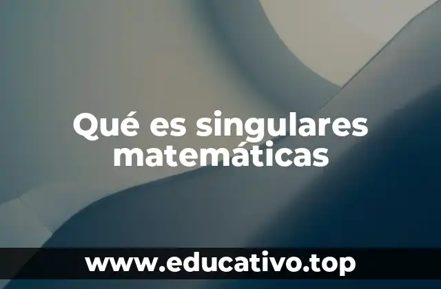 Qué es singulares matemáticas