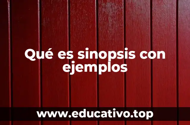 Qué es sinopsis con ejemplos