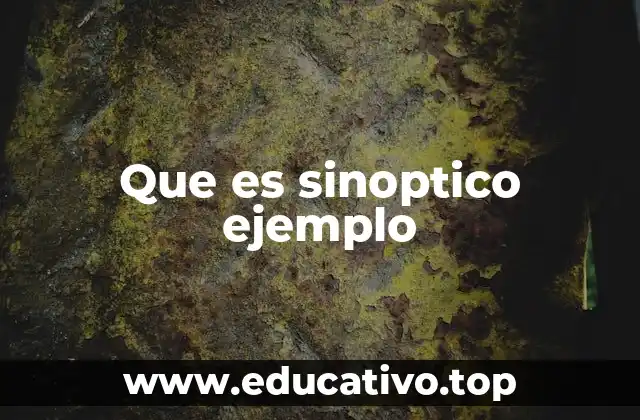 Que es sinoptico ejemplo