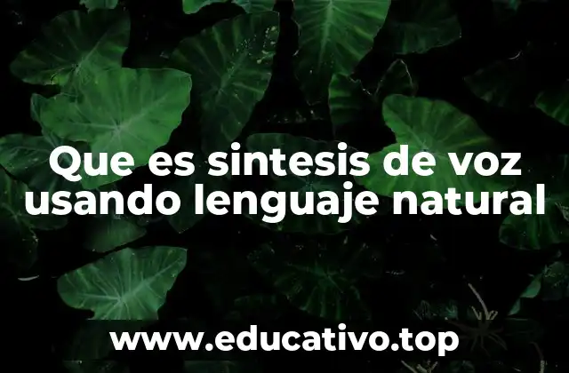 Que es sintesis de voz usando lenguaje natural