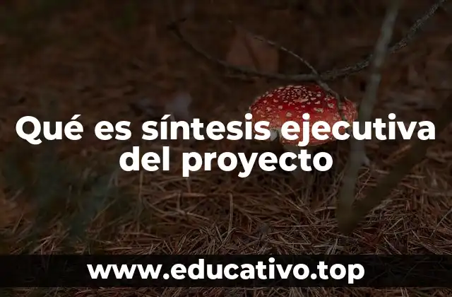 Qué es síntesis ejecutiva del proyecto