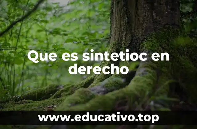 Que es sintetioc en derecho